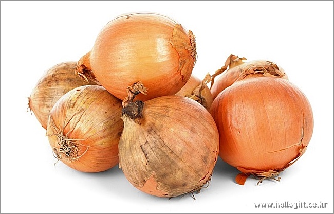 onion이미지입니다.